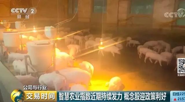 全球互联网巨头纷纷布局。智慧农业为何如此受青睐？(图20)