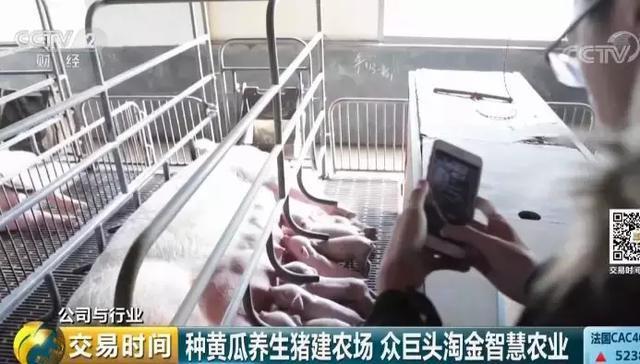 全球互联网巨头纷纷布局。智慧农业为何如此受青睐？(图3)