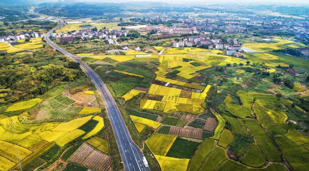 乡村改革 解读来了！台州市召开深化农村公路管养体制改革新闻发布会(图1)