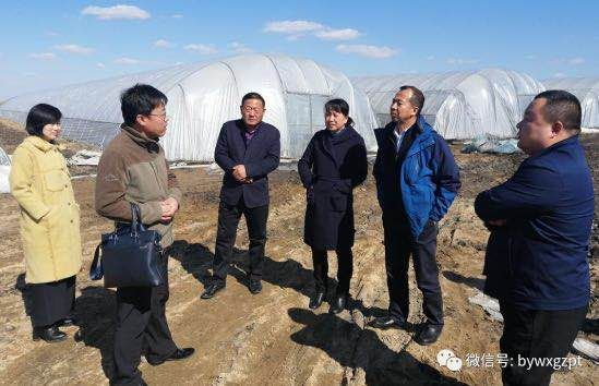 技术和经验:农业专家进驻哈尔滨市巴彦县培训大棚种植技术(图3)