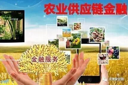 中国农业银行三农服务_助推新型 粮食银行 形成 三农 服务新抓手_三农服务