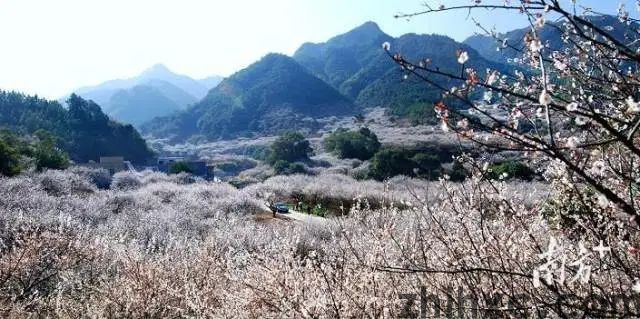 广东十年推动，以点带面实现美丽乡村建设再上新台阶(图6)