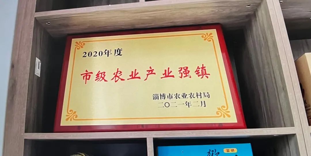 【美食淄博 · 美丽乡村新变化，彭东村推进数字乡村建设】(图8)