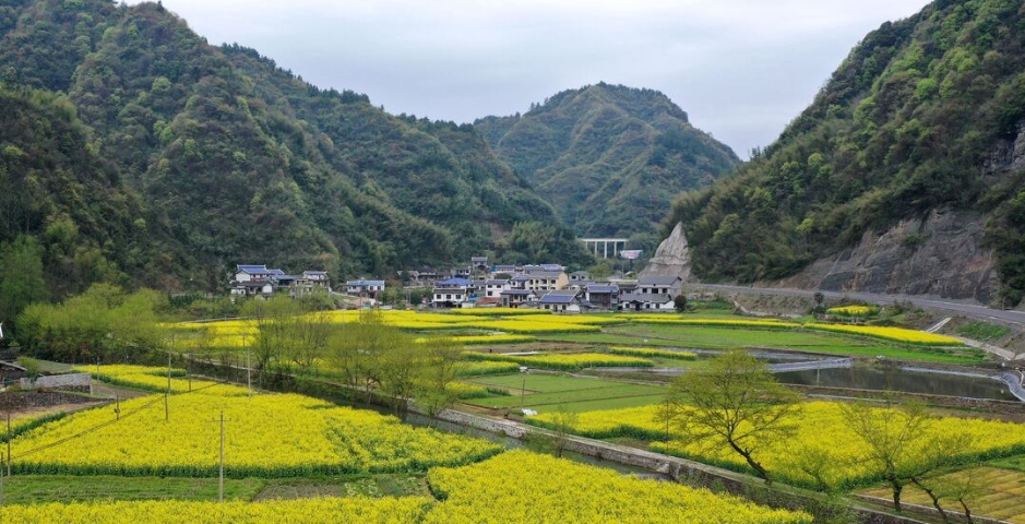 用互联网乡村管理软件，点燃乡村振兴的无限可能！