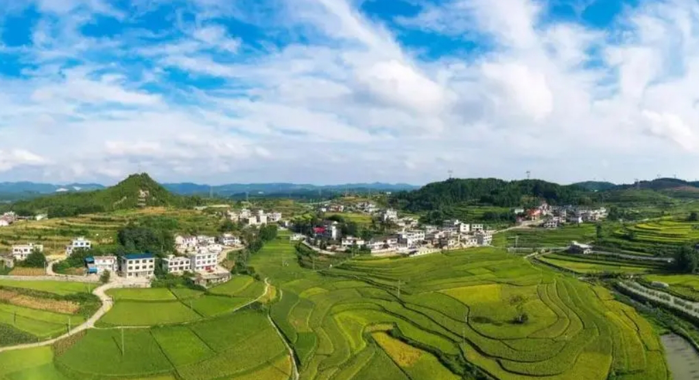 数字化浪潮席卷新农村建设：历史性的机遇与挑战并存