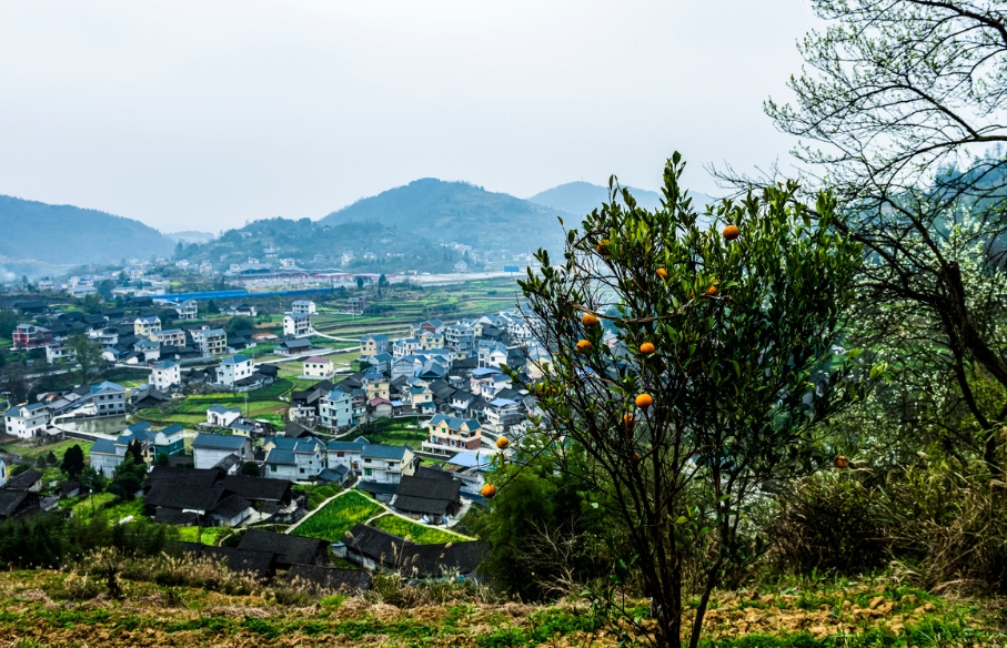 数字化浪潮中的农村新图景:乡村振兴的未来之路