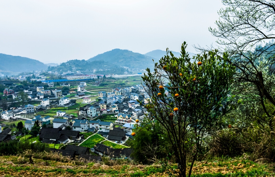 数字化浪潮中的农村新图景：乡村振兴的未来之路