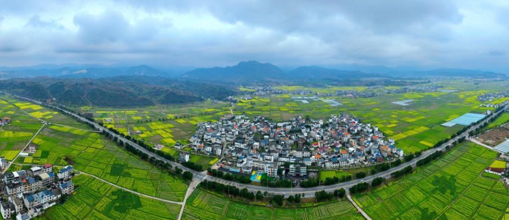 揭秘数字乡村：建设思路与未来发展走向