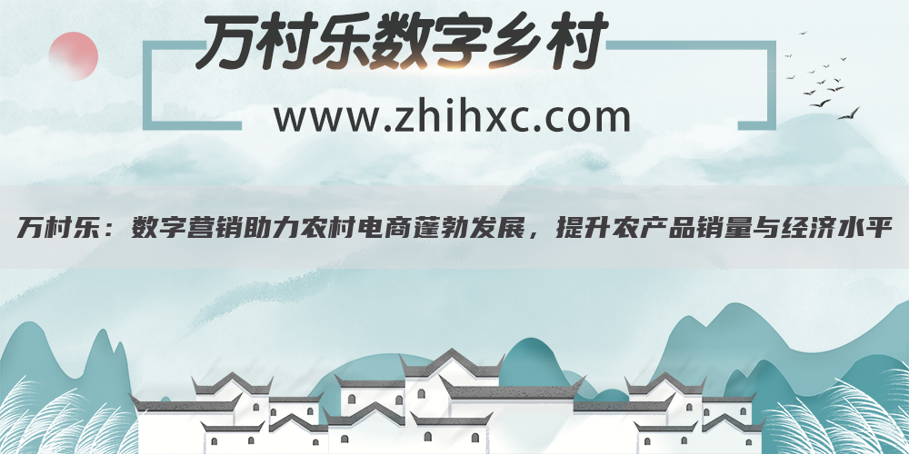 万村乐:数字营销助力农村电商蓬勃发展,提升农产品销量与经济水平