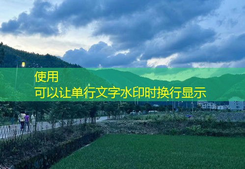 乡村民生服务项目:实施策略与成效分析