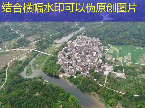 绿色食品认证全解析:标准、流程与市场影响