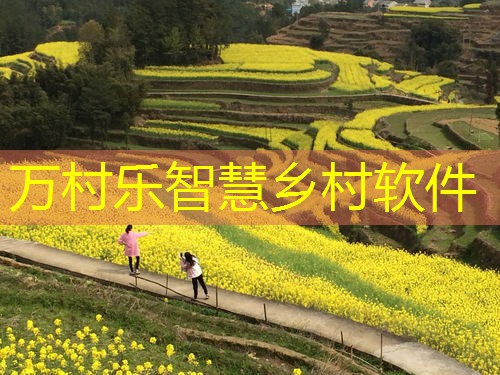 农业大数据平台:定义、功能与未来趋势