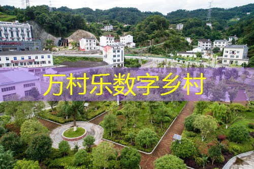 现代农业产业园:定义、发展与经济影响