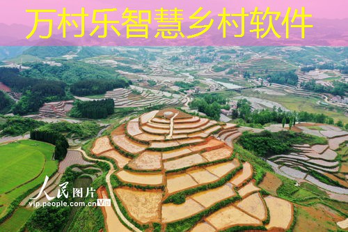 乡村环境监测站点：守护绿色家园的关键(乡村环境监测站点的功能与未来发展)