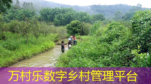 遥感技术在智慧农业中的革命性作用:提升效率与可持续性