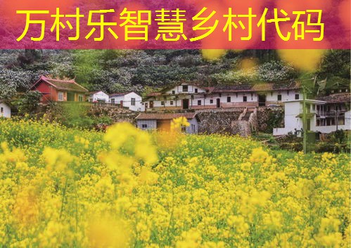 乡村信息化服务平台搭建指南:技术、步骤与未来趋势