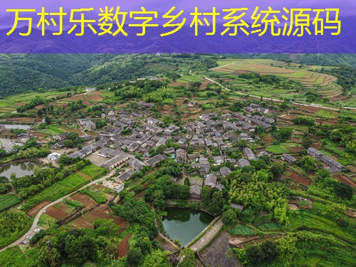 农业社会化服务体系全面解析:构建现代农业的关键步骤