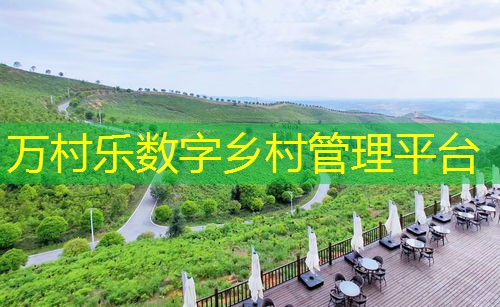 农村信用体系建设与金融服务:现状、挑战与未来发展