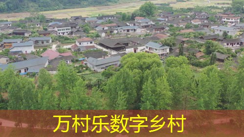 乡村公共卫生智慧服务:定义、应用与未来展望
