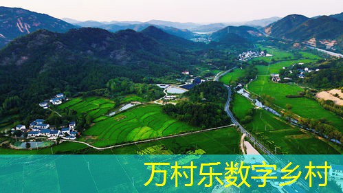 农业现代化步伐加快:国际化趋势与挑战
