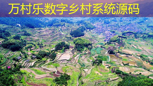 乡村集体经济发展:现状、政策与未来展望