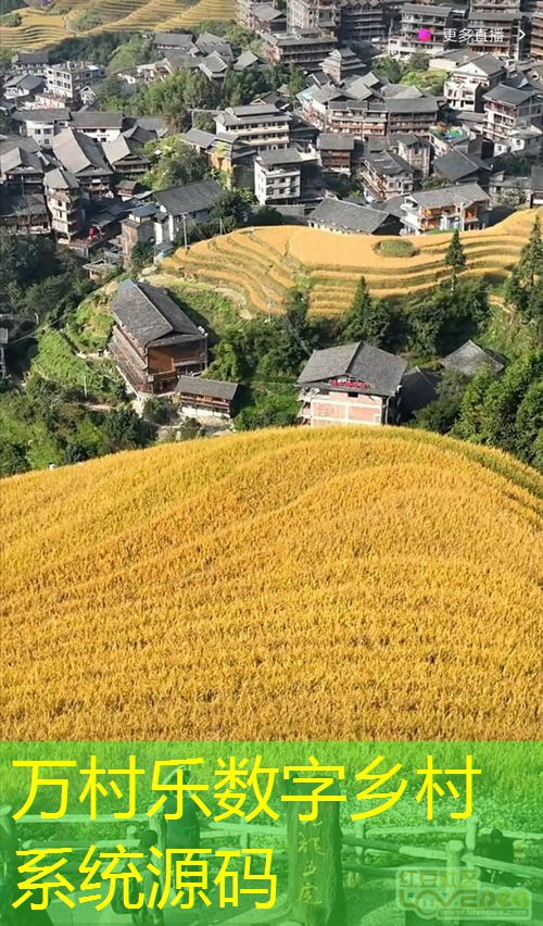 乡村居民生活质量提升之路：基础设施改善与多元化经济发展策略