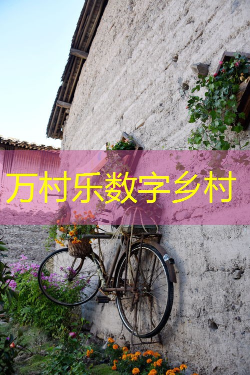 乡村振兴人才引进机制：重要性、现状与创新策略