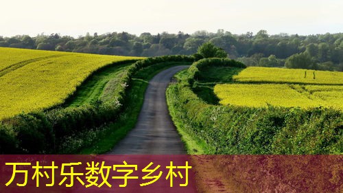 乡村公共服务体系全面解析:构建与挑战