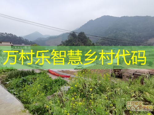 乡村大数据管理与分析:定义、技术与应用