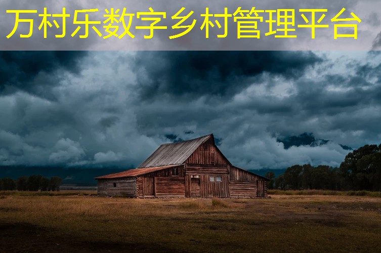 乡村治理体系与治理能力现代化:数字化转型与效率提升策略
