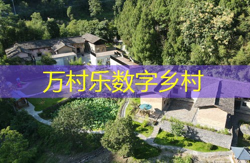 乡村振兴资金扶持政策全面解读
