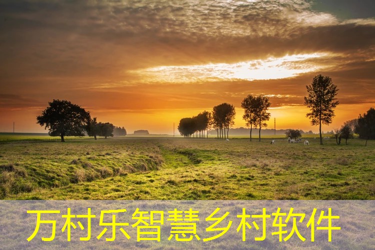 农村土地确权全面解析:从定义到实施的影响与管理