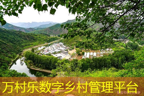乡村智慧照明与节能改造:推动绿色发展的新动力