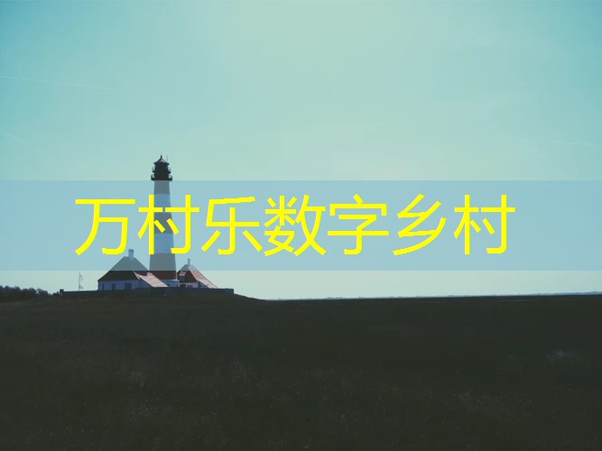 农业社会化服务模式创新:定义、挑战与未来趋势