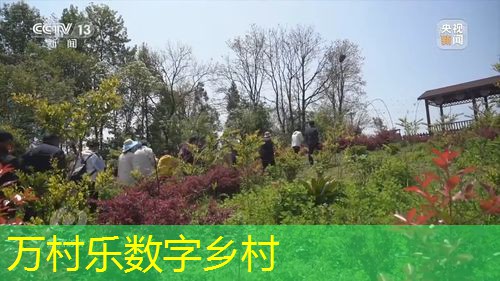 乡村基础设施智慧维护系统:提升效率与促进发展