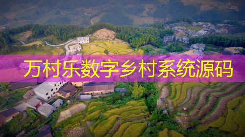 乡村治理现代化与智慧平台:推动农村发展的关键