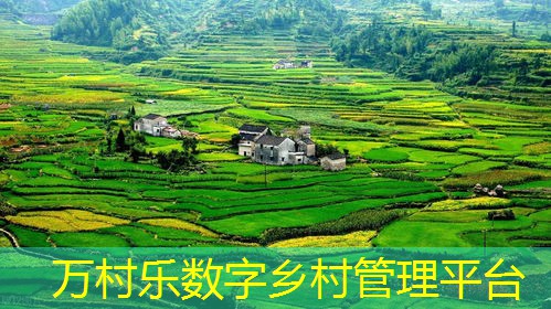乡村特色农产品品牌培育:市场潜力挖掘与在线营销策略