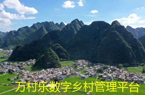 智能视频监控与安防在乡村治理中的应用与挑战