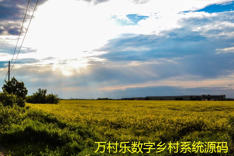 乡村治理矛盾纠纷调解机制:现状、挑战与未来策略
