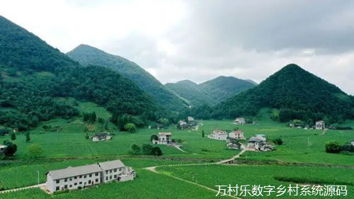 智慧乡村建设中的网络安全保障:挑战、技术、政策与案例分析