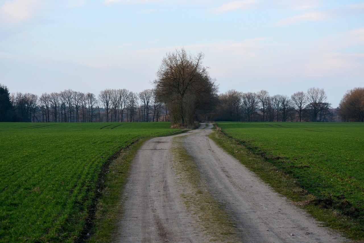 “农业保险：守护农田的坚实盾牌——现代农业风险管理的创新之路”(3)