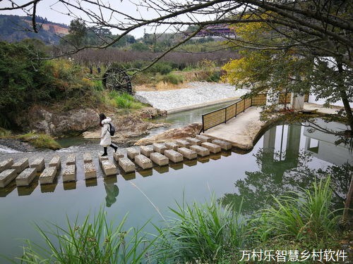 农业科技创新:驱动未来农业发展的引擎