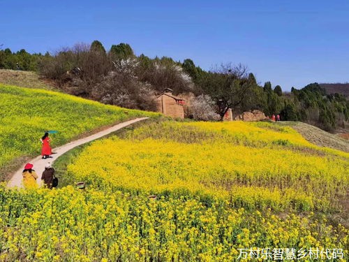 阔步向美沃野新
