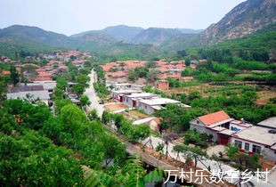 数字医疗改革下的乡村振兴策略:产业振兴与医疗服务质量提升
