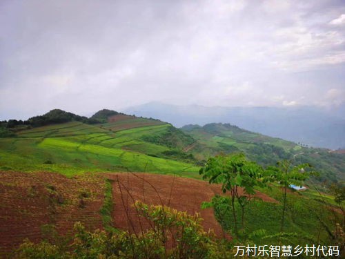乡村振兴数字广播节目的力量与策略:农业技术普及与市场潜力激发