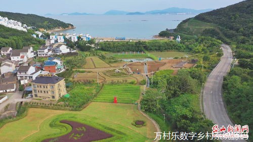 数字农业振兴之路:技术培训与市场开拓策略