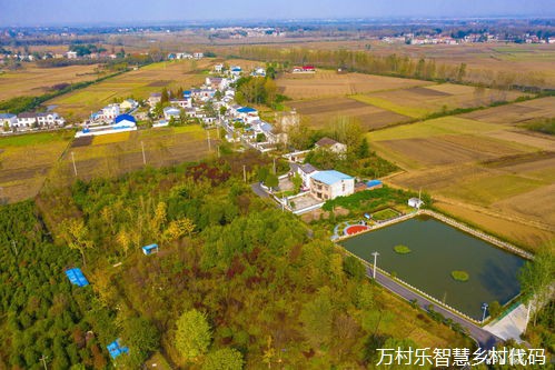 乡村振兴产业融合发展战略:新机遇、产业链延伸、科技创新应用、多元化布局与国际市场开拓