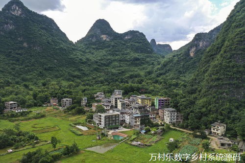 乡村振兴物流升级之路:数字乡村物流配送优化方案