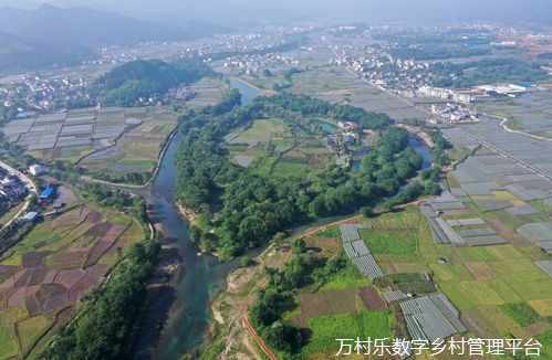 数字乡村:智能技术在农村的应用与影响——探索未来乡村建设的新路径