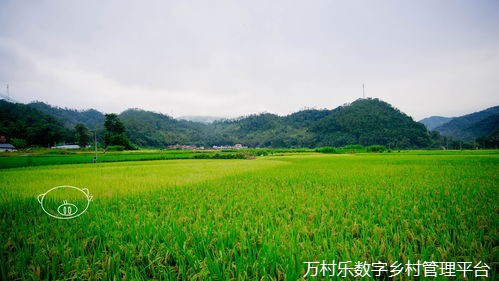 智慧乡村:数字技术如何重塑农村未来——探索数字乡村建设方案